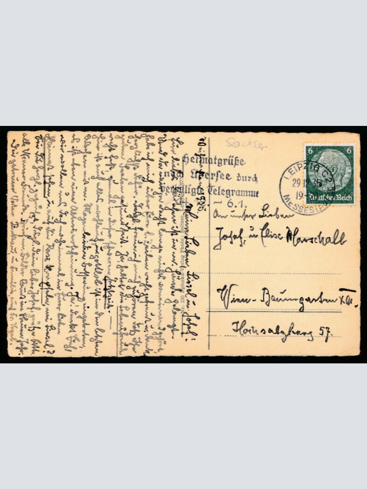 AK aus Leipzig Taubenfüttern Sachsen (4095)