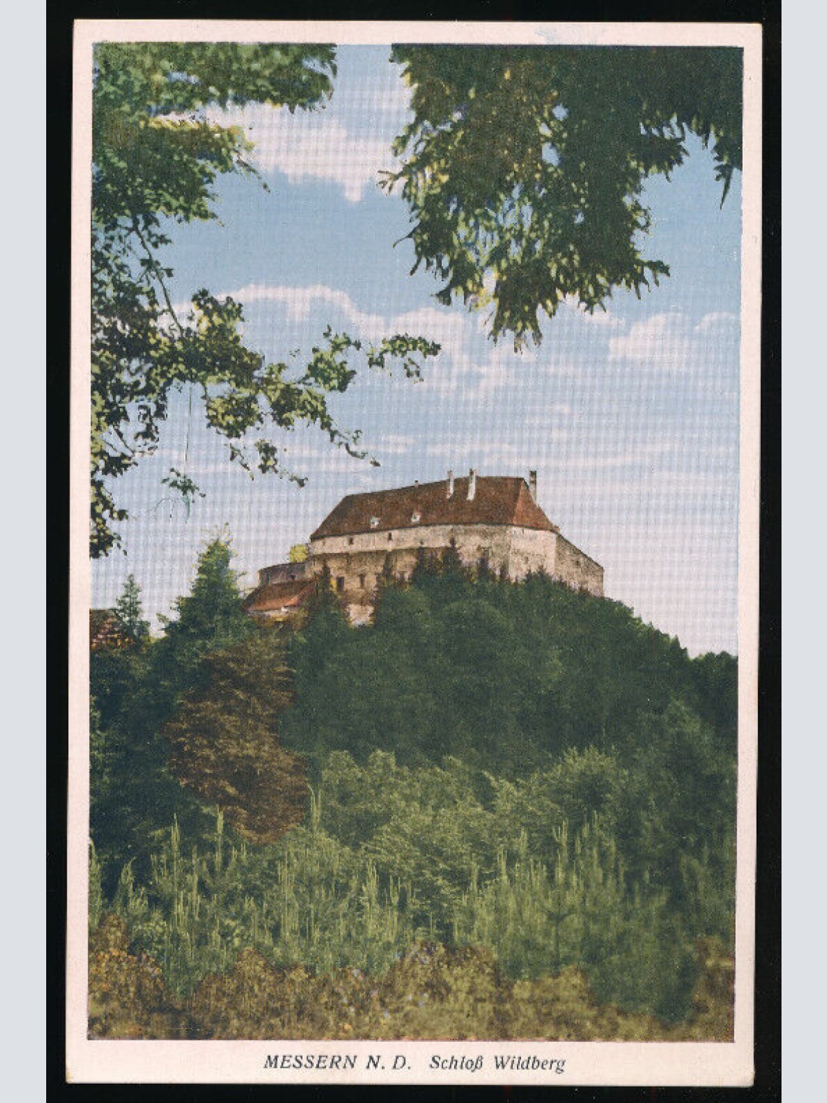 AK aus Messern mit Schloß Wildberg Niederösterreich (4108)