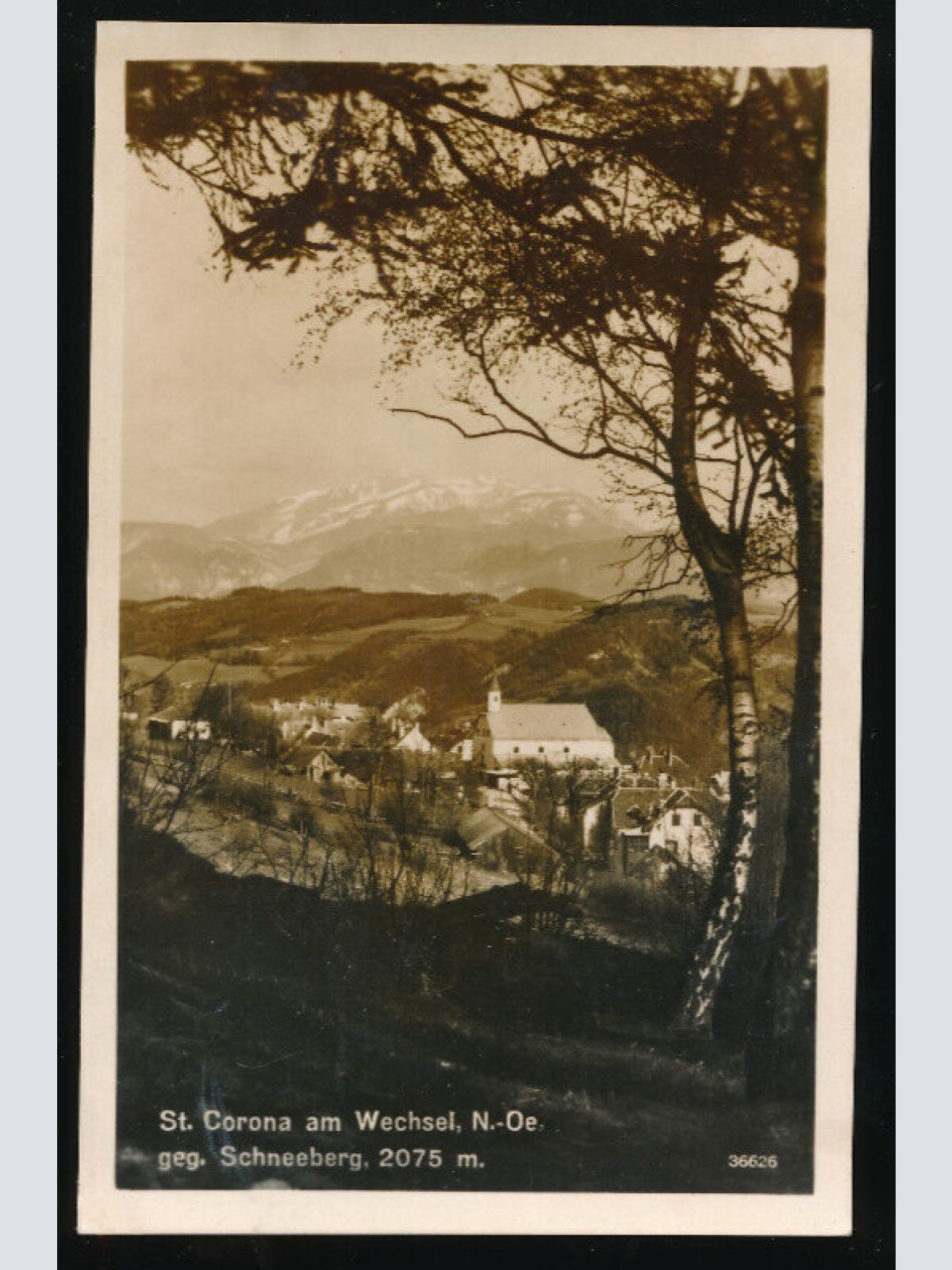 AK aus St.Corona am Wechsel Niederösterreich (4362)