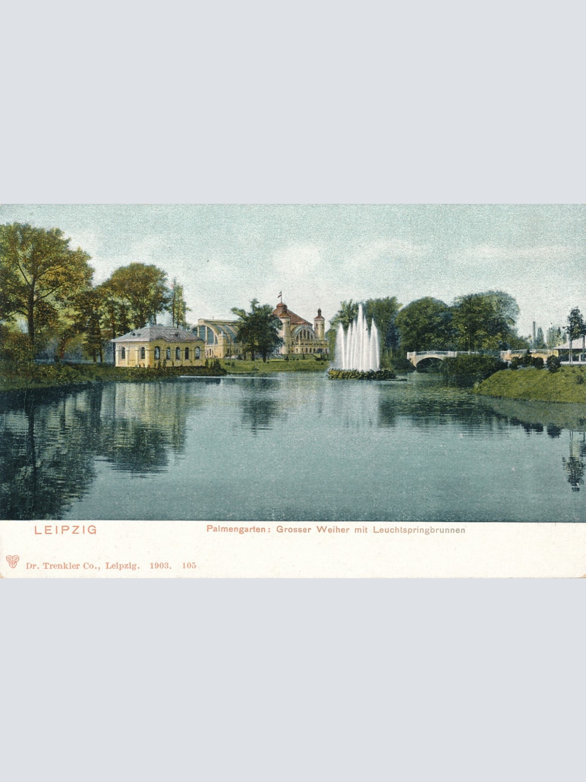 AK Leipzig, Sachsen, Palmengarten, Großer Weiher mit Leuchtspringbrunnen  (S455)