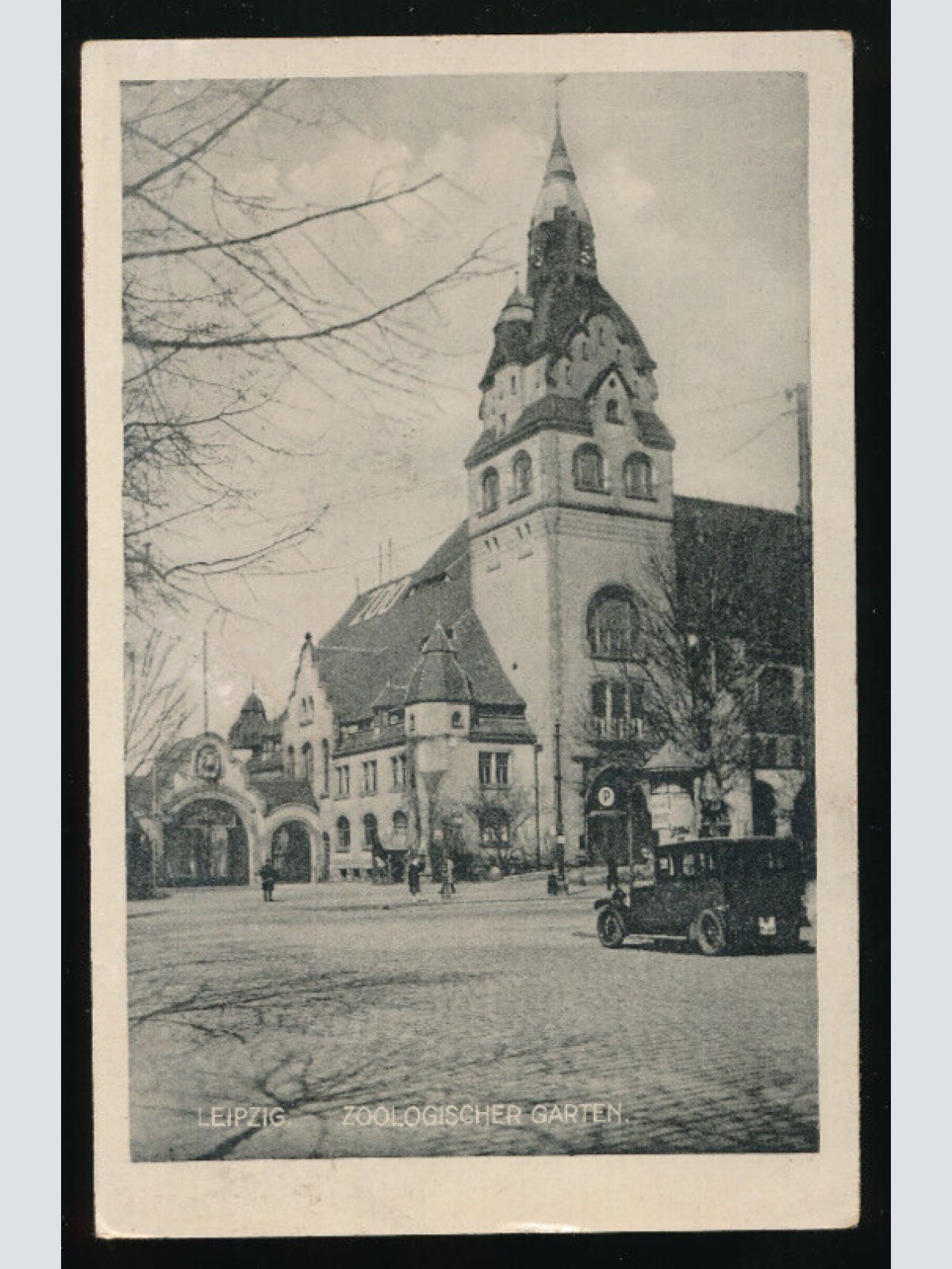 AK aus Leipzig Zoologischer Karten Sachsen (4566)