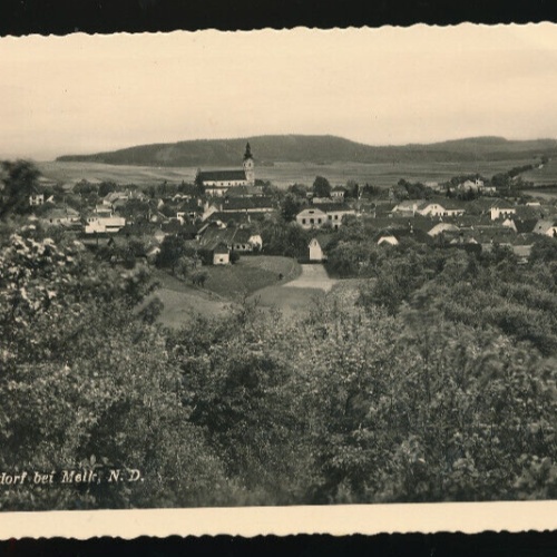 AK aus Loosdorf Niederösterreich (4424)