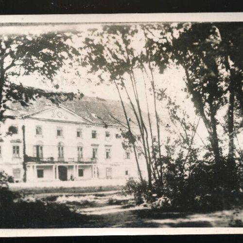 AK aus Trautmansdorf Niederösterreich (4841)