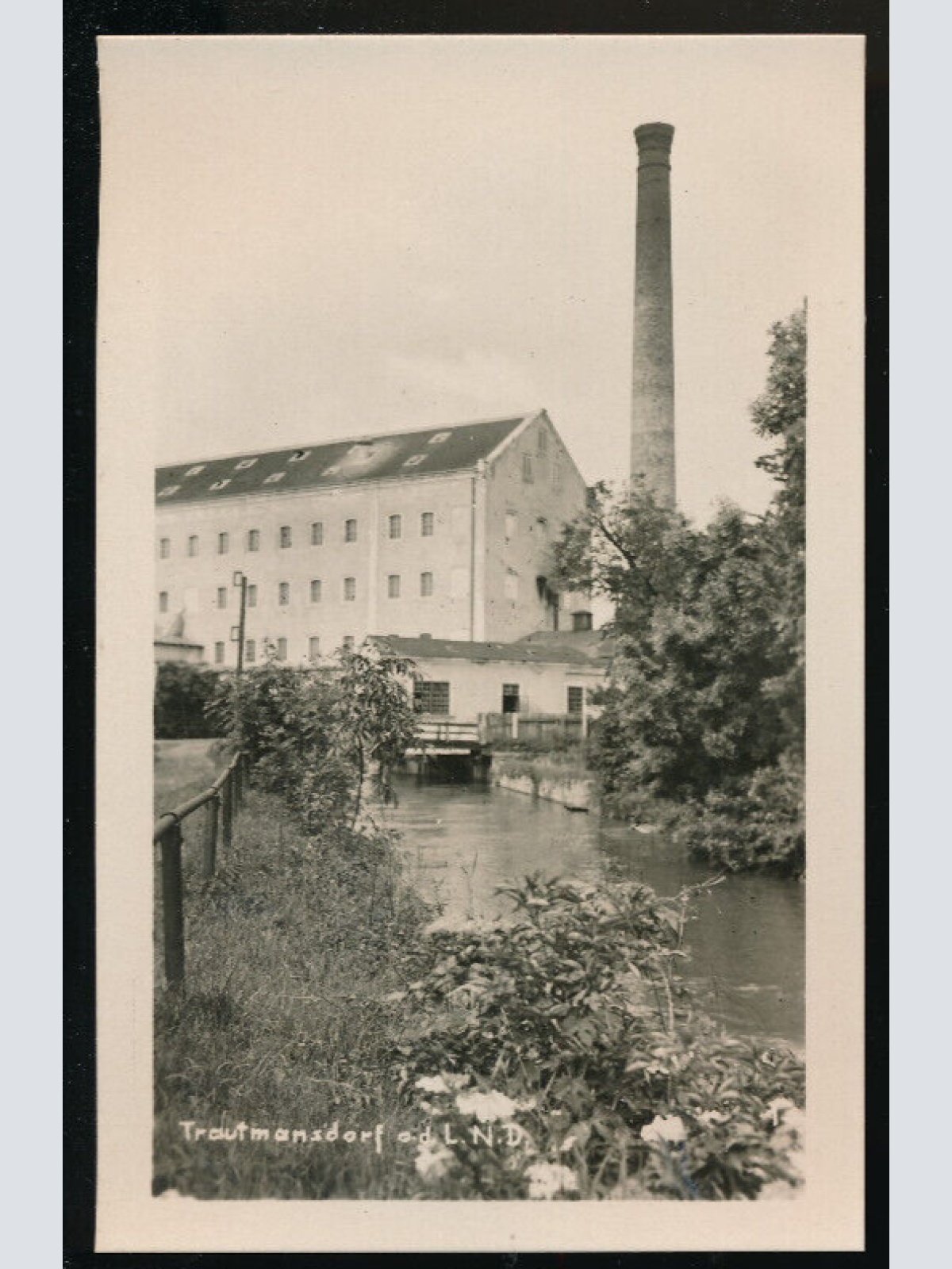 AK aus Trautmansdorf Niederösterreich (4837)