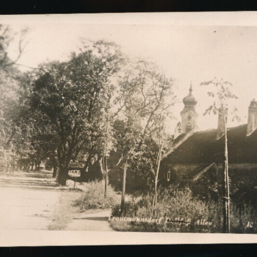 AK aus Trautmansdorf Niederösterreich (4850)