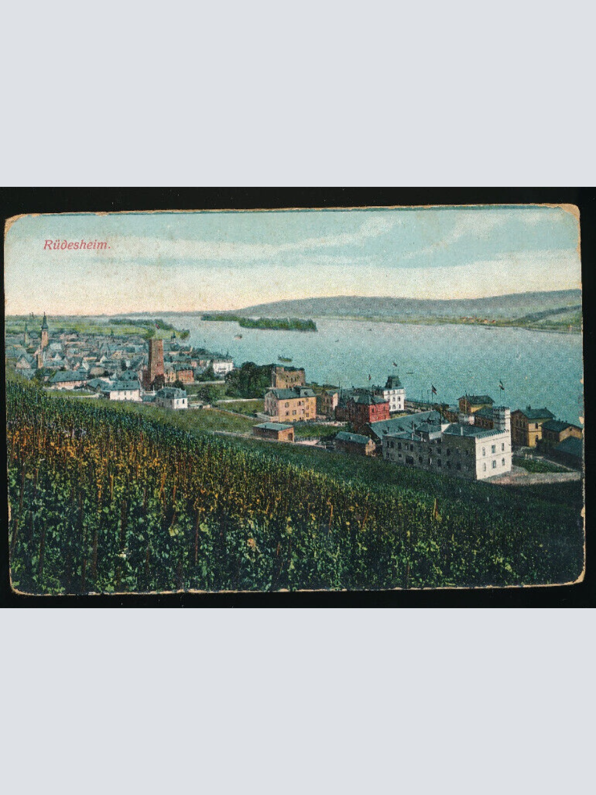 AK aus Rüdesheim Hessen (4544)