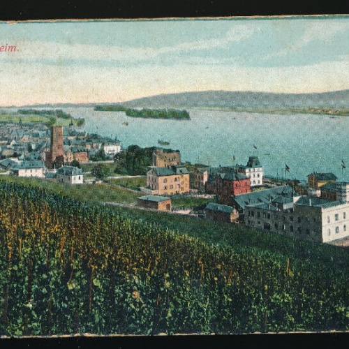 AK aus Rüdesheim Hessen (4544)