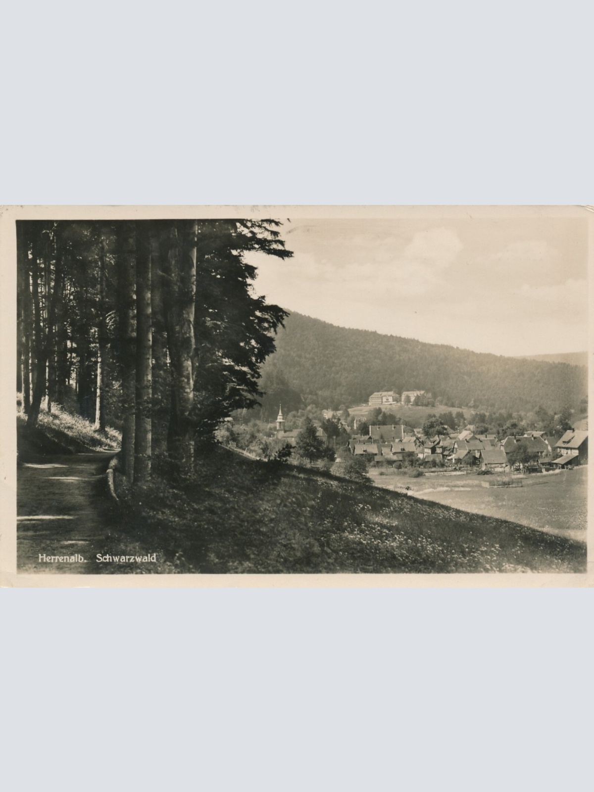 AK, Erholungsheim Grüner Wald, Kurhaus und Hospiz, Herrenalb, Schwarzwald (S541)