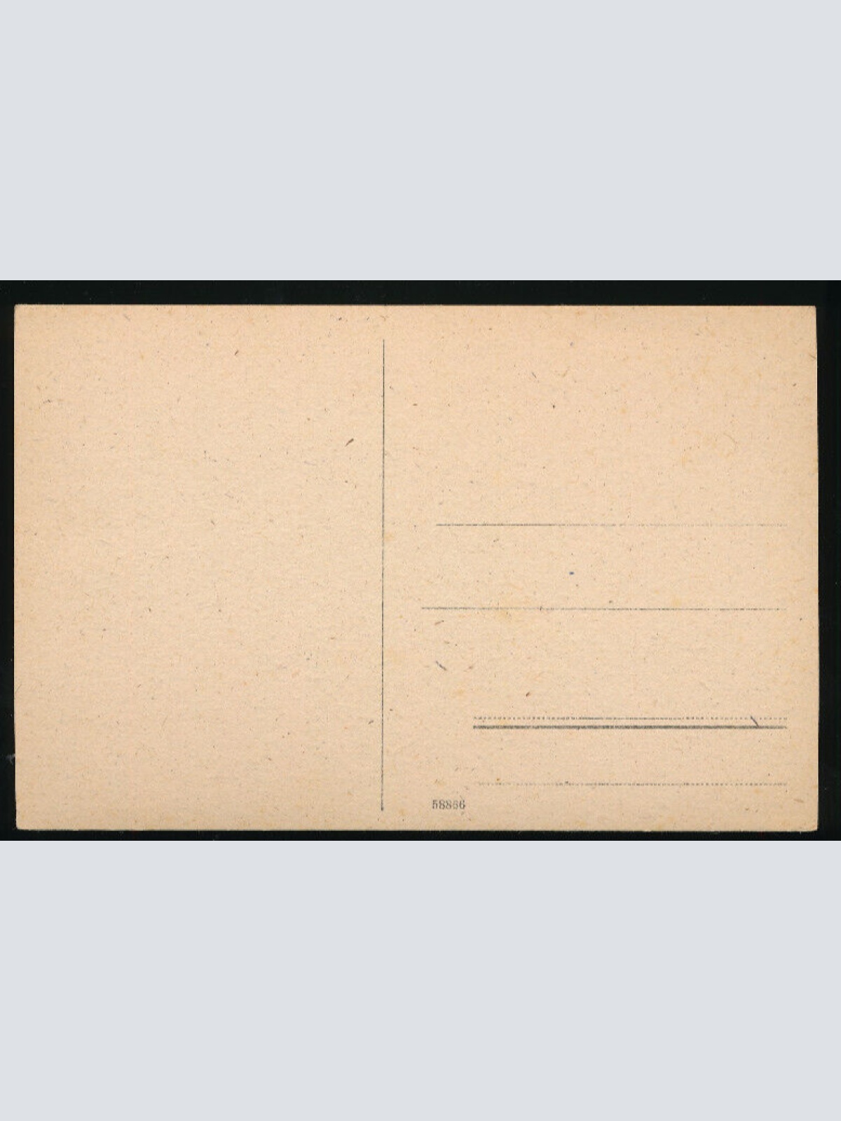 AK aus Seewalchen mit Schloß Kammer am Attersee Oberösterreich (4911)