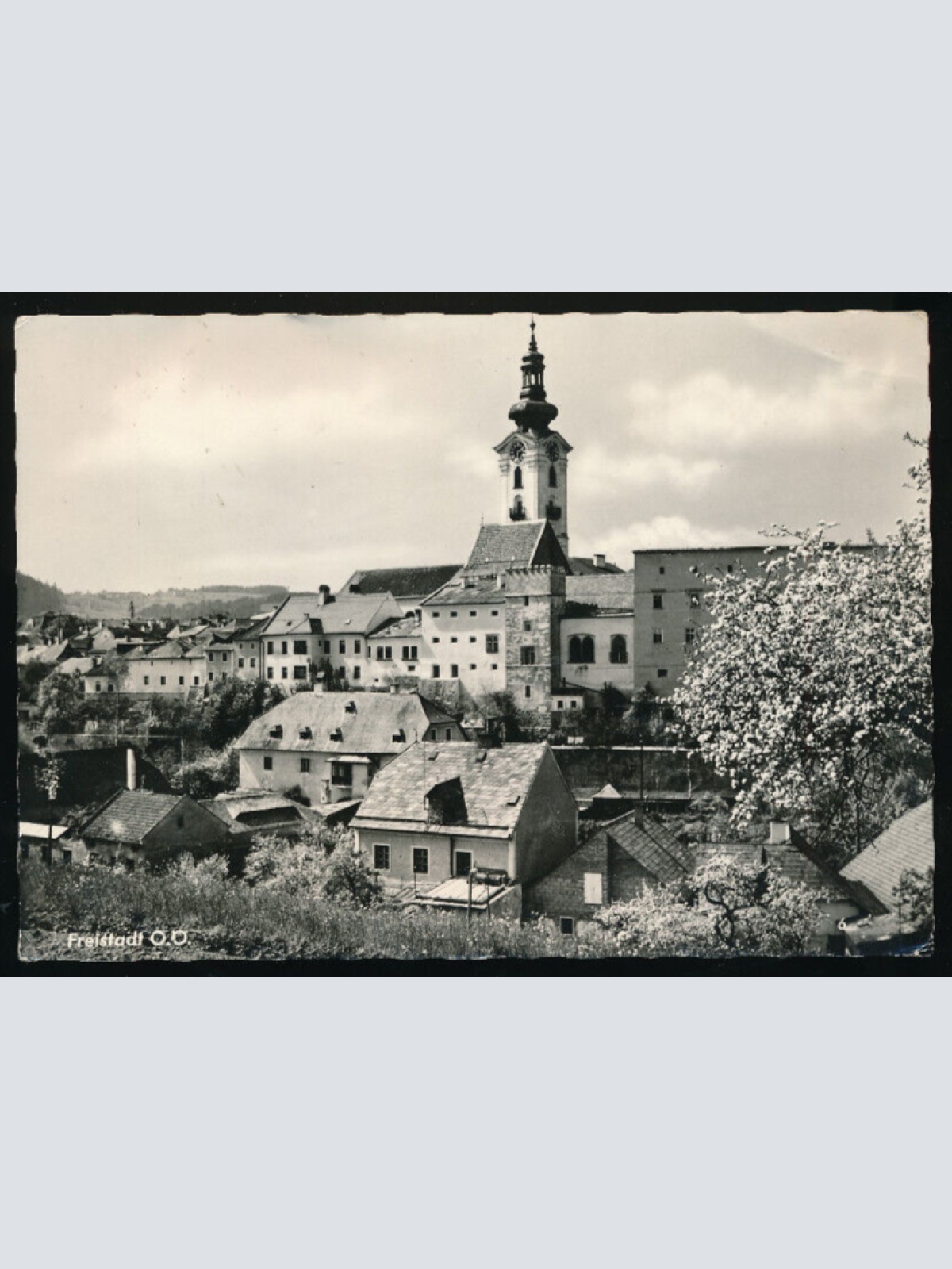 AK aus Freistadt Oberösterreich (4925)