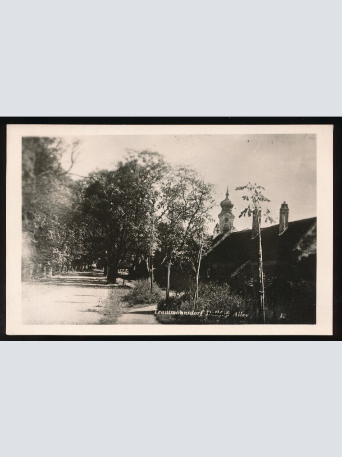 AK aus Trautmannsdorf an der Leitha Niederösterreich (4777)