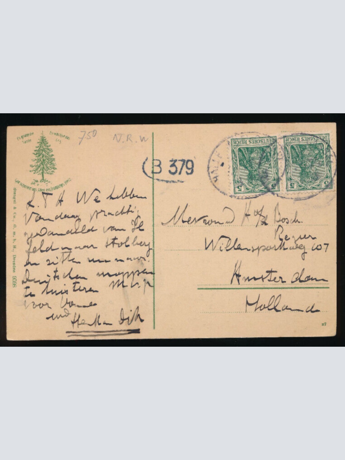 AK aus Stolberg im Harz Altes Tor mit Rinder - Kühen N.R.W (4515)