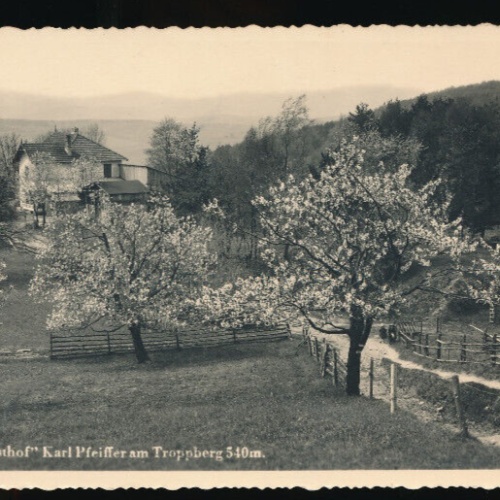 AK vom Berggasthof Karl Pfeiffer am Troppberg Niederösterreich (5026)