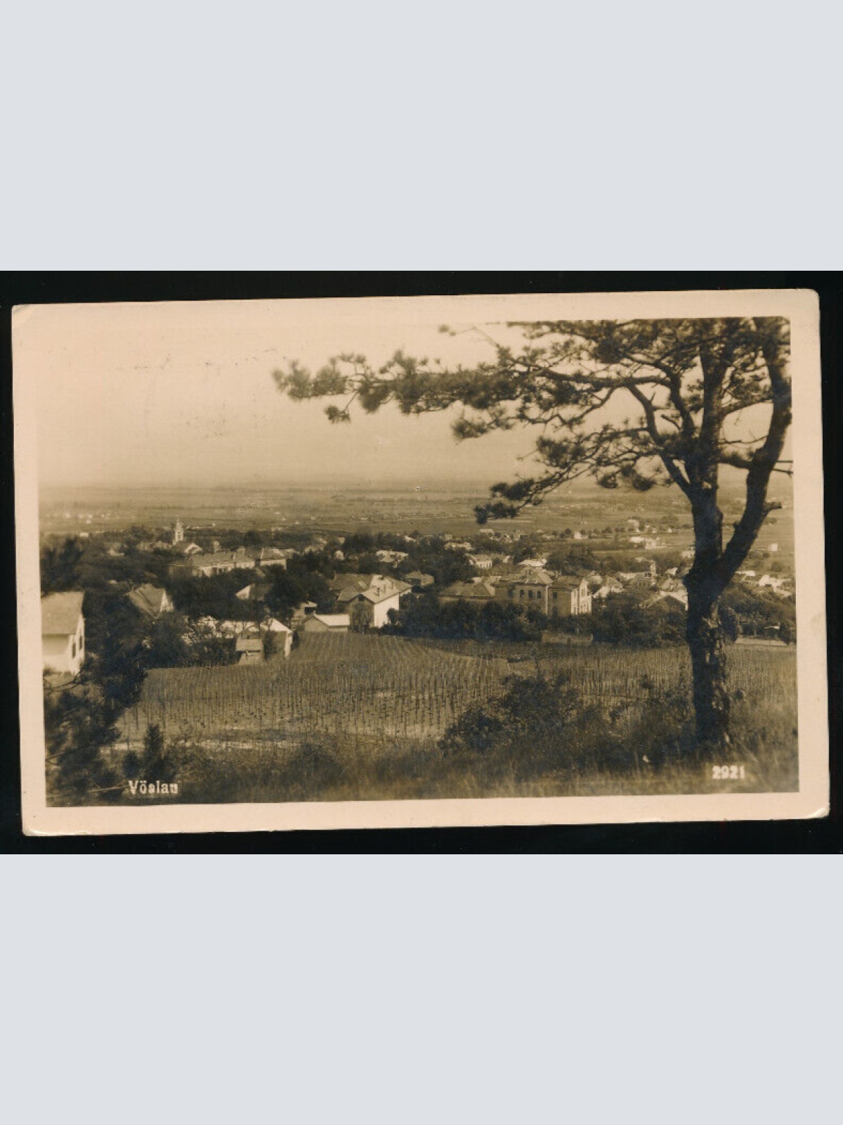 AK aus Vöslau Niederösterreich (5070)