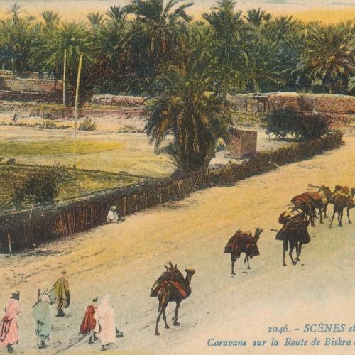 AK, Scenes et Types, Caravane sur la Route de Biskra a Touggourt (S667)