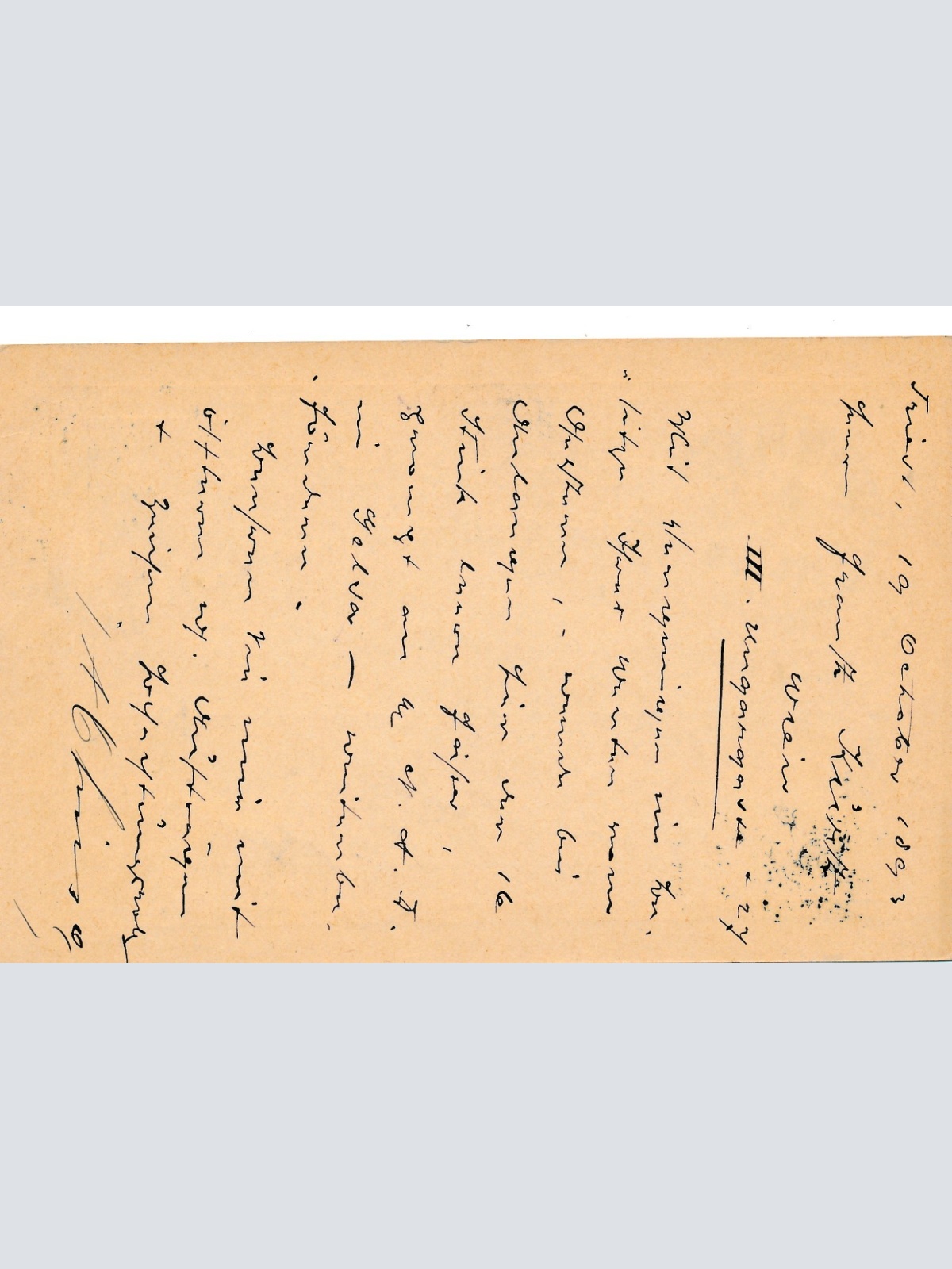 2 Kreuzer Ganzsachen - Karte aus Trieste (16352)