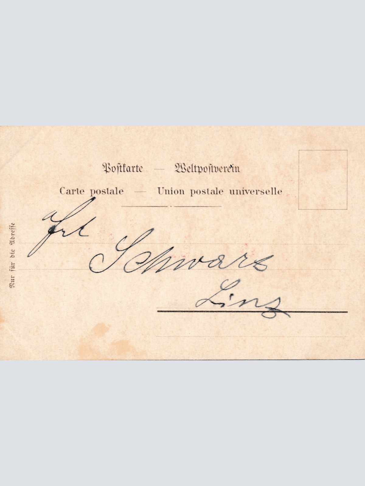 AK, Gruß aus dem Schwarzwald, Baden-Württemberg (S732)