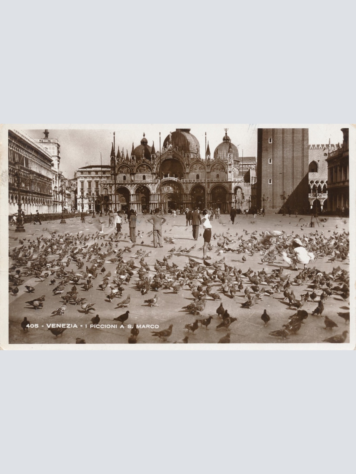 AK, Venezia, I Piccioni a S. Marco, Italien (S680)
