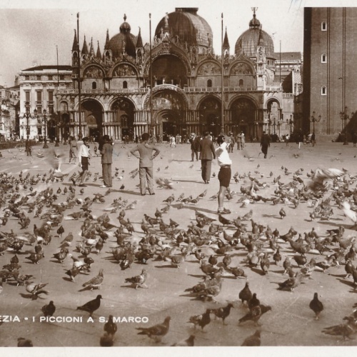 AK, Venezia, I Piccioni a S. Marco, Italien (S680)