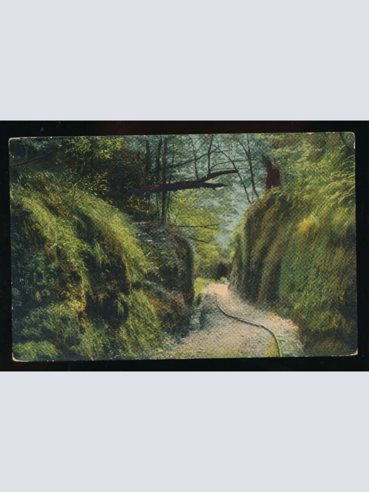 AK aus Eisenach die Landgrafenschlucht Thüringen (5196)