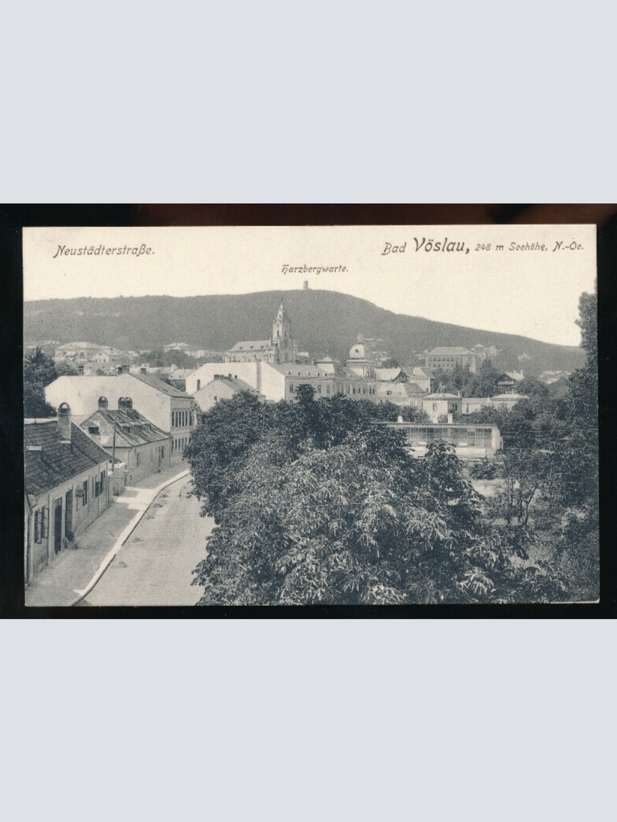 AK aus Vöslau Neustästerstraße Niederösterreich (5156)