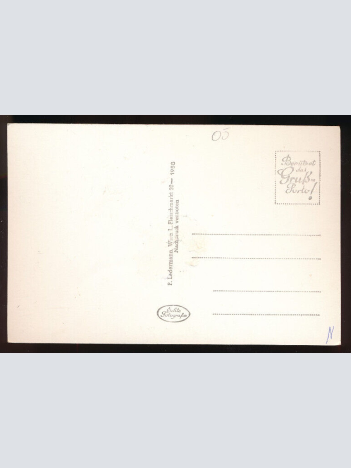 AK aus Freistadt Rust am See mit Störche und Storchennest Oberösterreich (5491)