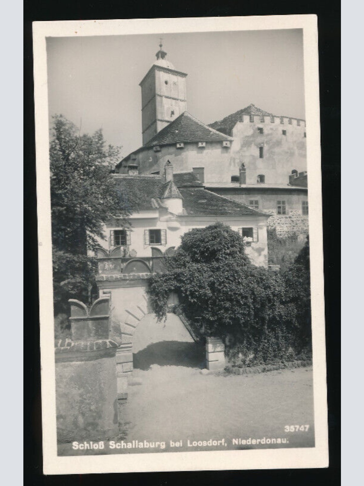 AK vom Schloss Schallaburg bei Loosdorf Niederösterreich (5478)