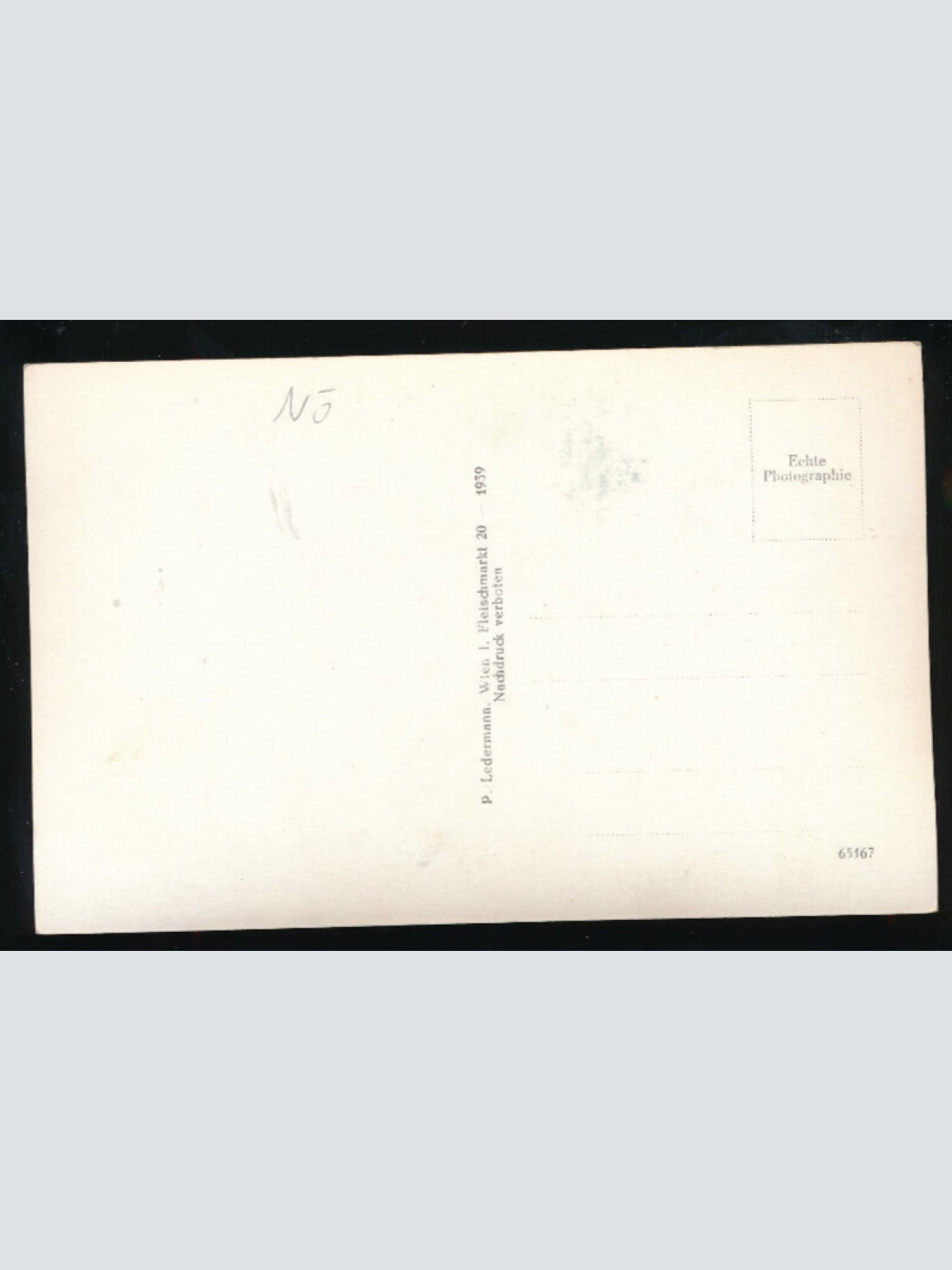 AK vom Schloss Schallaburg bei Loosdorf Niederösterreich (5478)