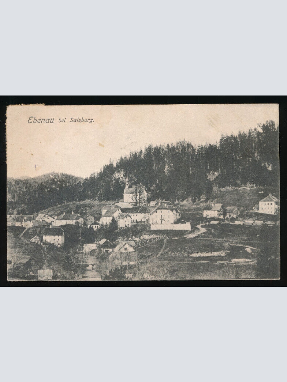 AK aus Ebenau Salzburg (5302)