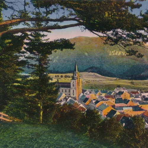 AK, Gruß aus Maria-Zell, Steiermark, Österreich (S1365)