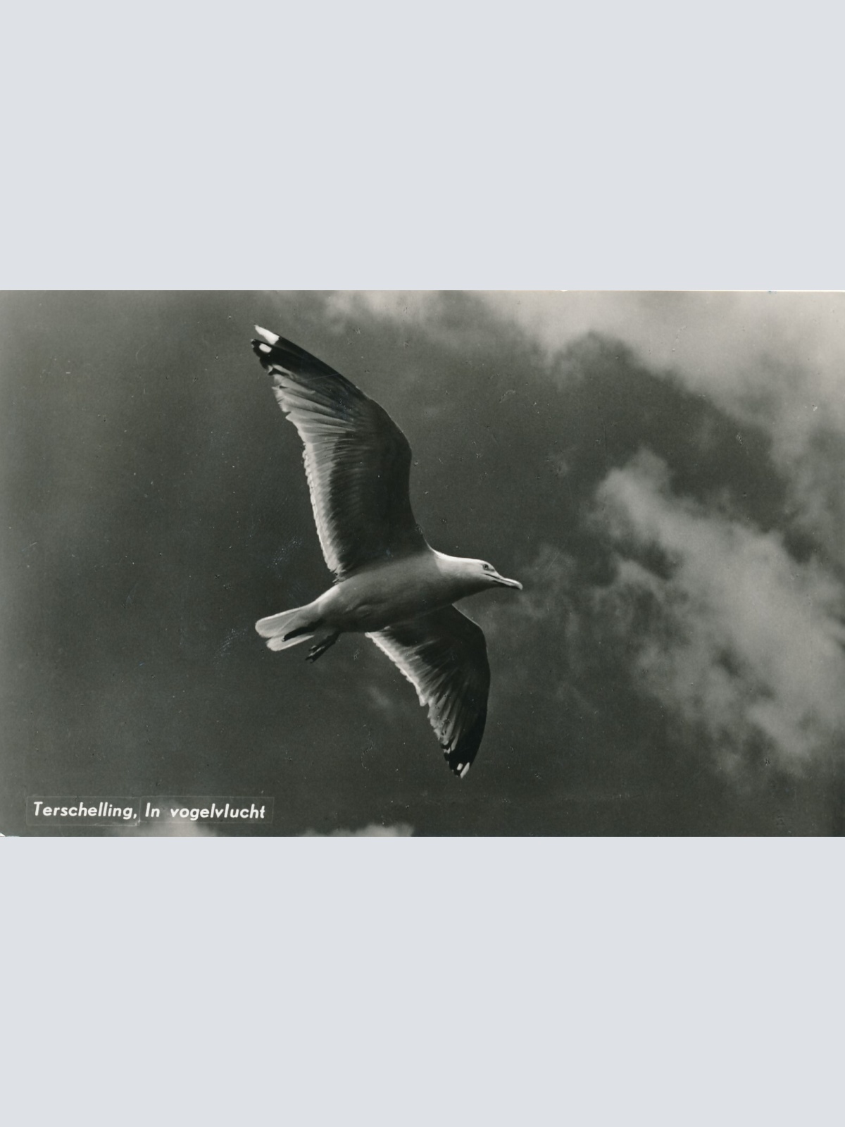 AK, Terschelling, In Vogelvlucht (S1514)