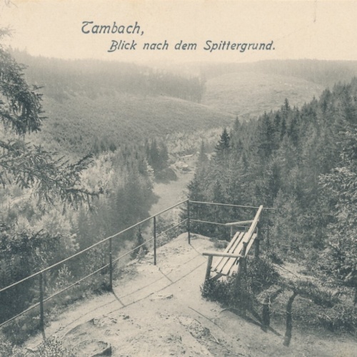 AK, Tambach, Blick nach dem Spittergrund, Thüringen (S1463)