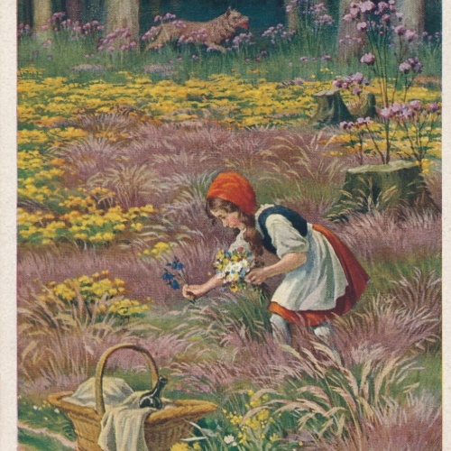 AK, Brüder Grimm, Rotkäppchen sammelt Blumen (S1645)