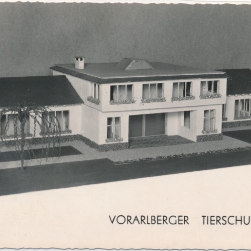 AK, Vorarlberger Tierschutzhaus (S1306)