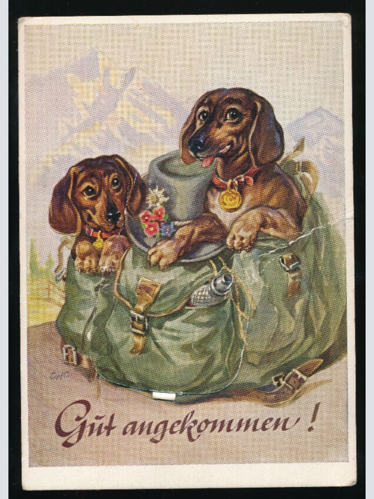 Leparello - AK 2 Dackel im Ruckasck Gut Angekommen (5761)