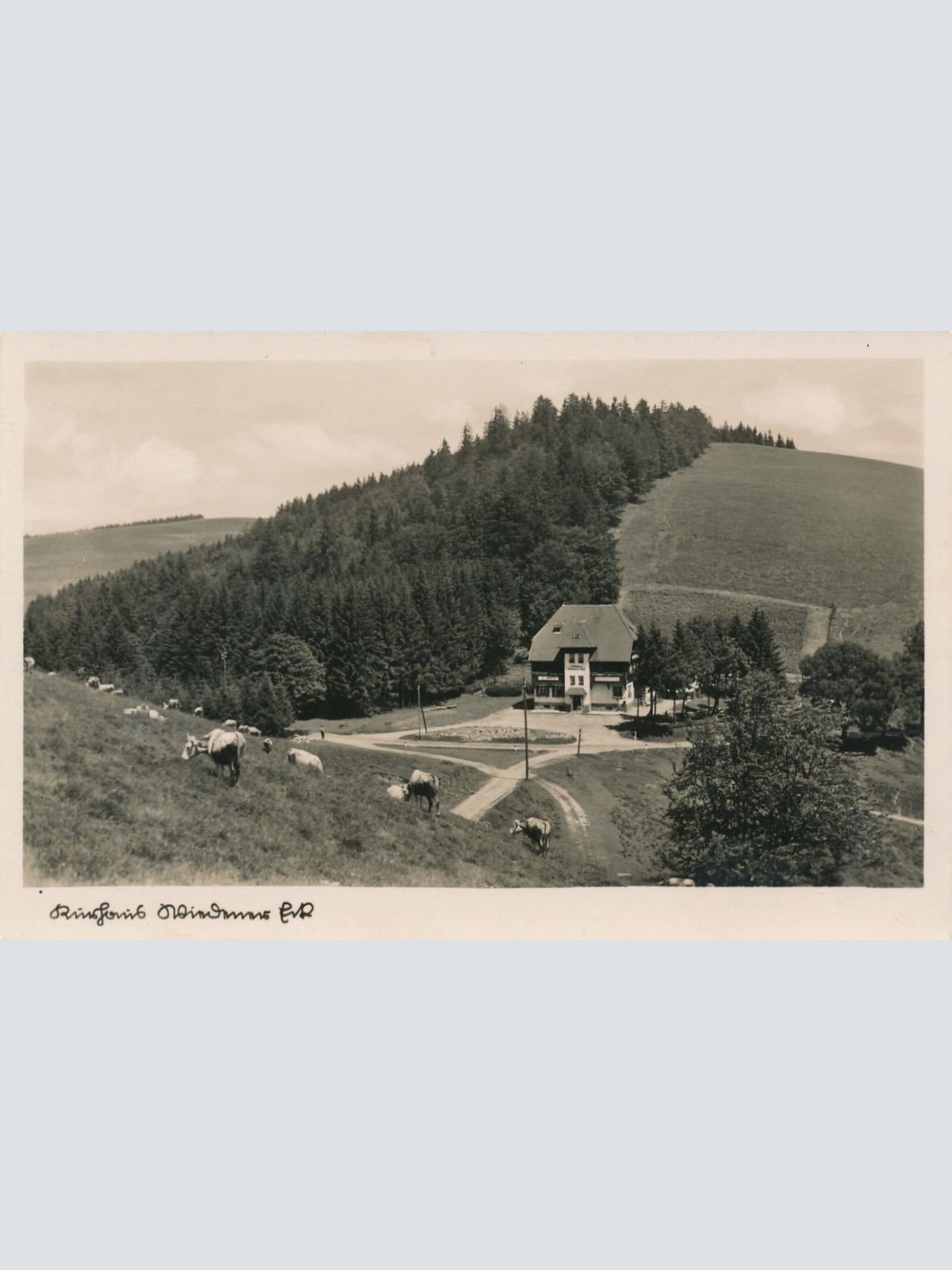 AK, Höhenkurort u. Wintersportplatz Wiedener Eck (S1711)