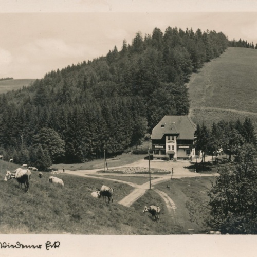 AK, Höhenkurort u. Wintersportplatz Wiedener Eck (S1711)