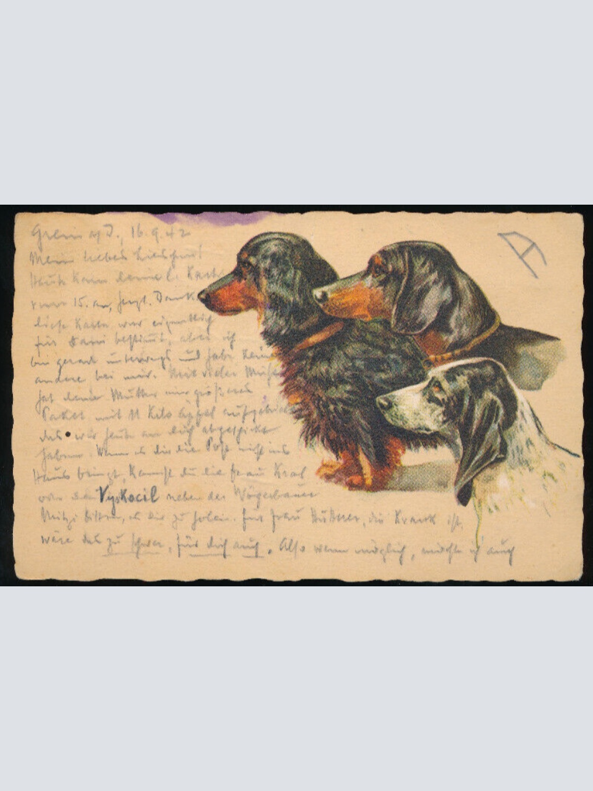 Motiv - Karte von drei Dackeln (5758)