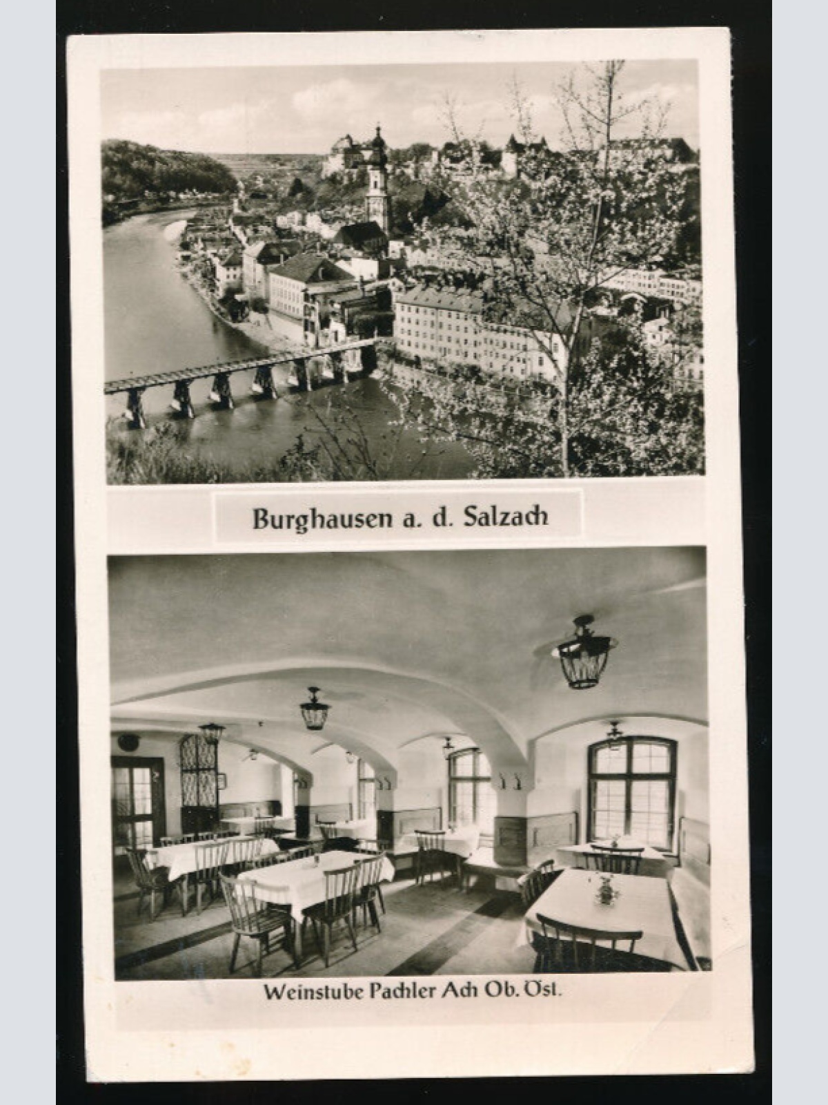 AK aus Burghausen an der Salzach mit Weinstube Pachler Oberösterreich (5862)