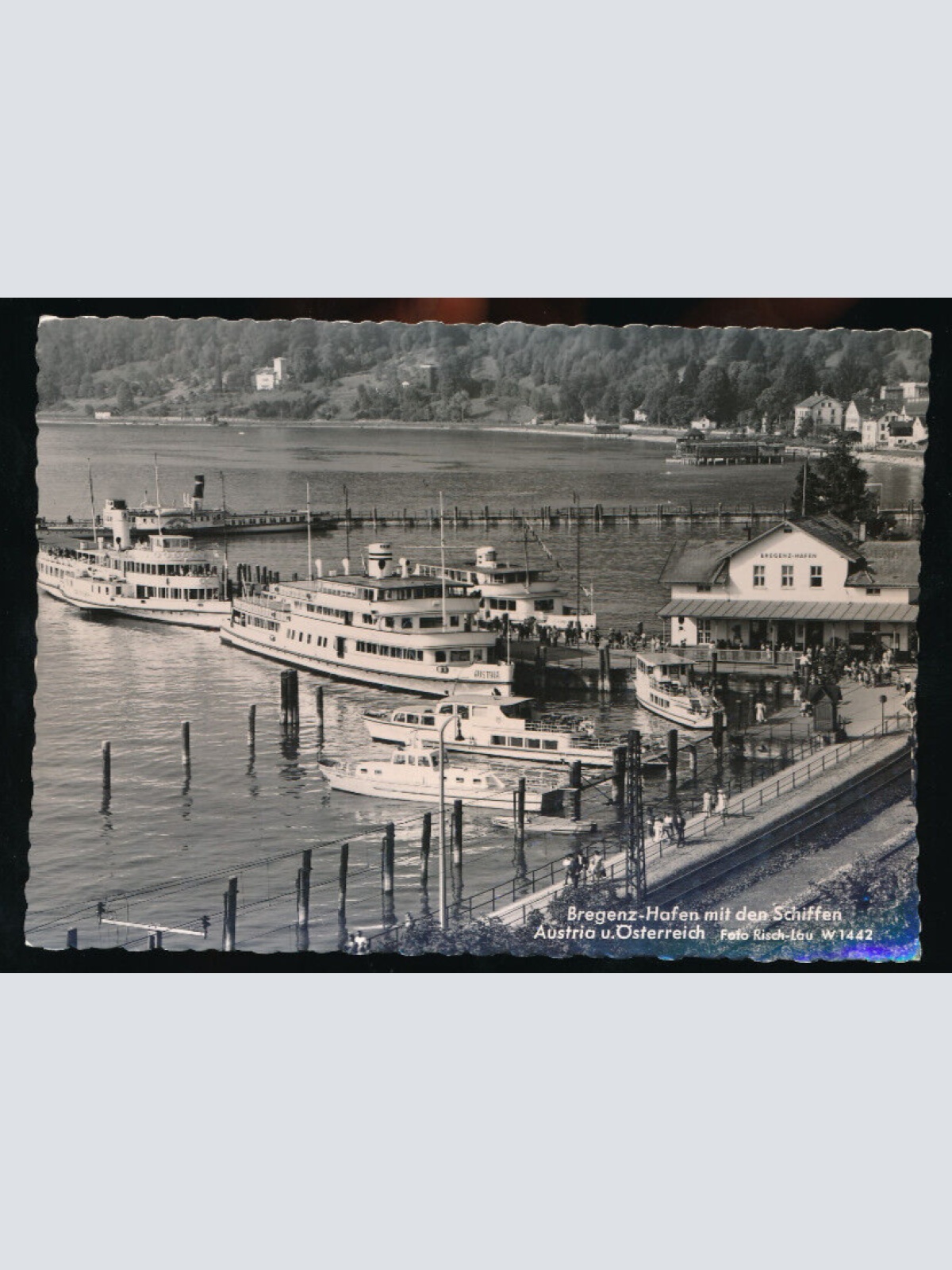 AK aus Bregemz Hafen mit den SchiffenVorarlberg (5874)