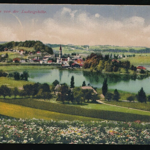 AK aus Mattsee von der Ludwigshöhe Salzburg (5554)