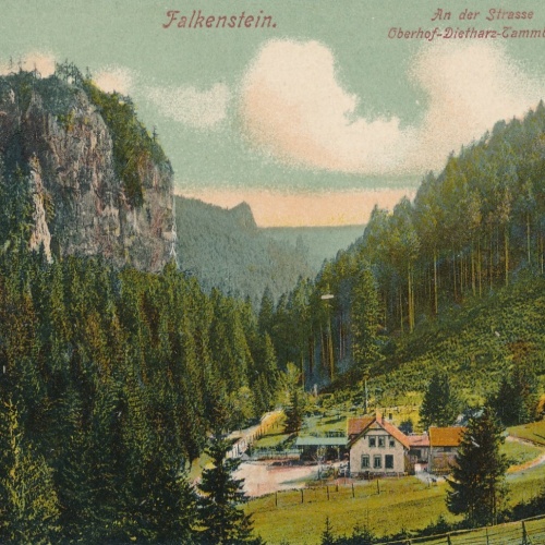 AK, Falkenstein, An der Straße, Oberhof-Dietharz-Tammbach, Thüringen (S1903)