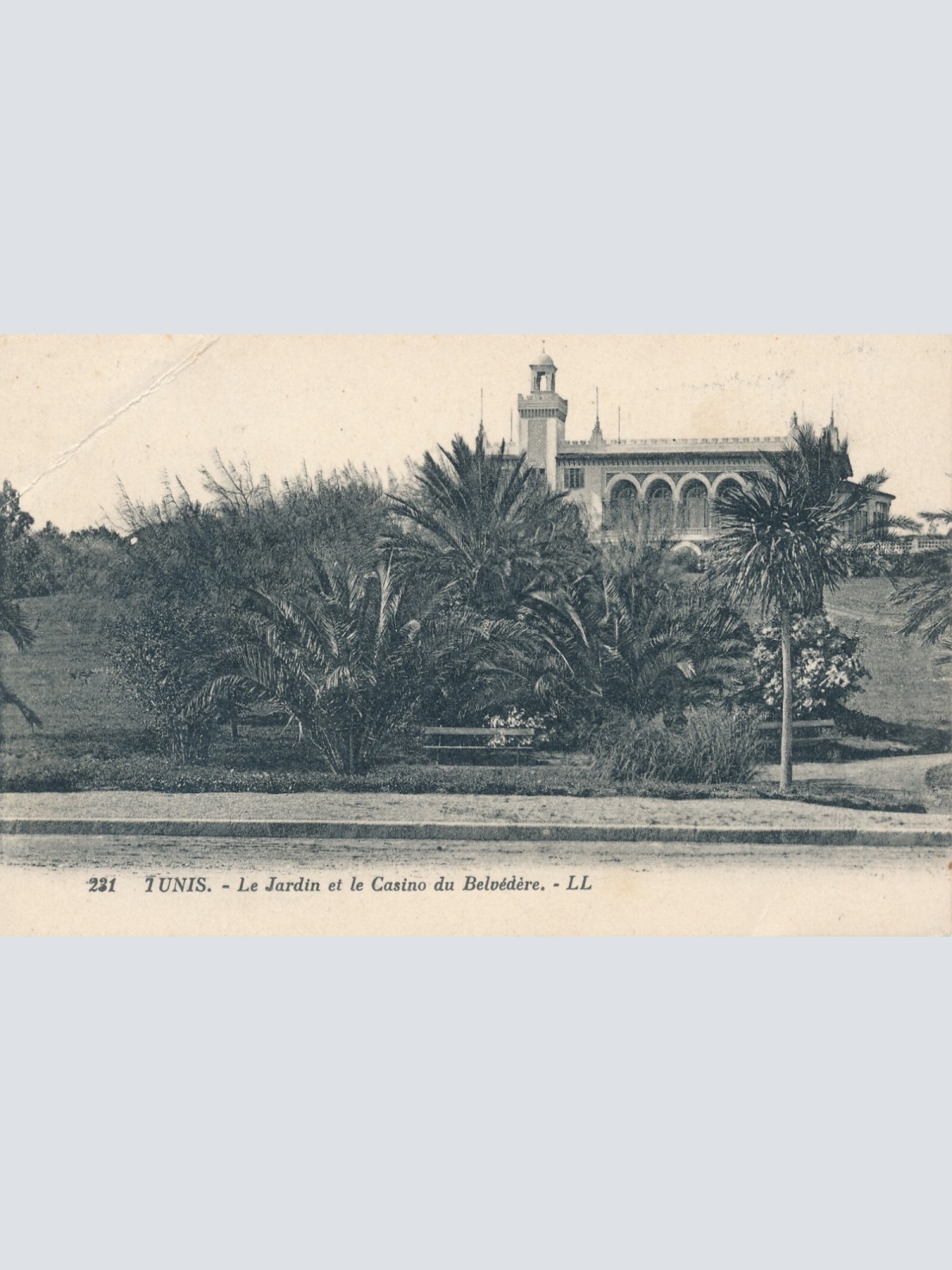 AK, Tunis - Le Jardin et le Casino du Belvedere (S1921)