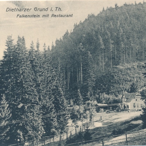 AK, Falkenstein mit Restaurant, Dietharzer Grund in Thüringen (S2019)