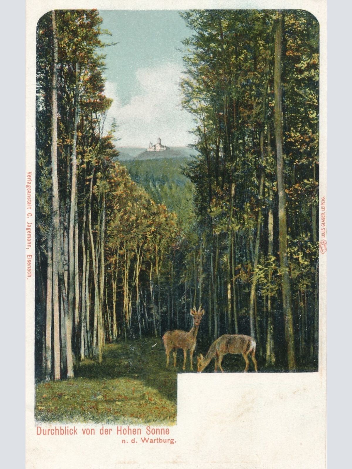 AK, Durchblick von der Hohen Sonne an der Wartburg (S2017)