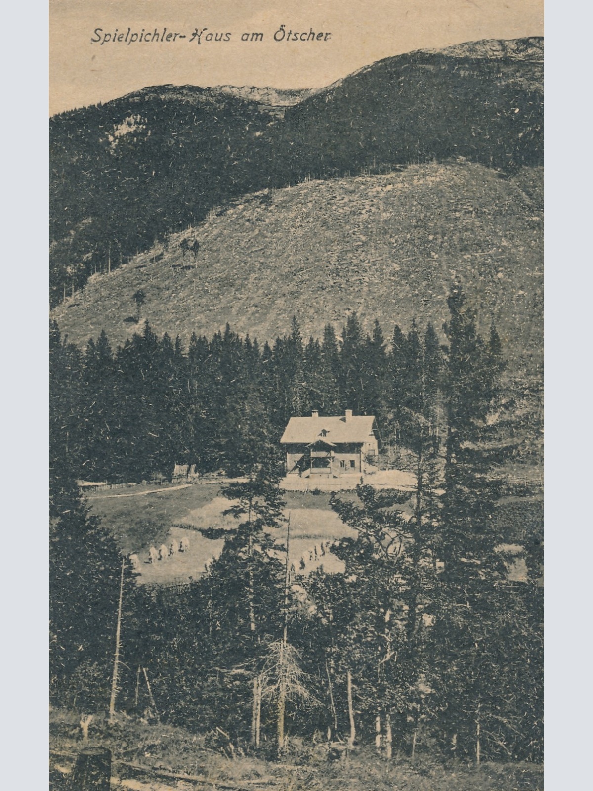 AK vom Spielpichler - Haus am Ötscher Niederösterreich (6342)