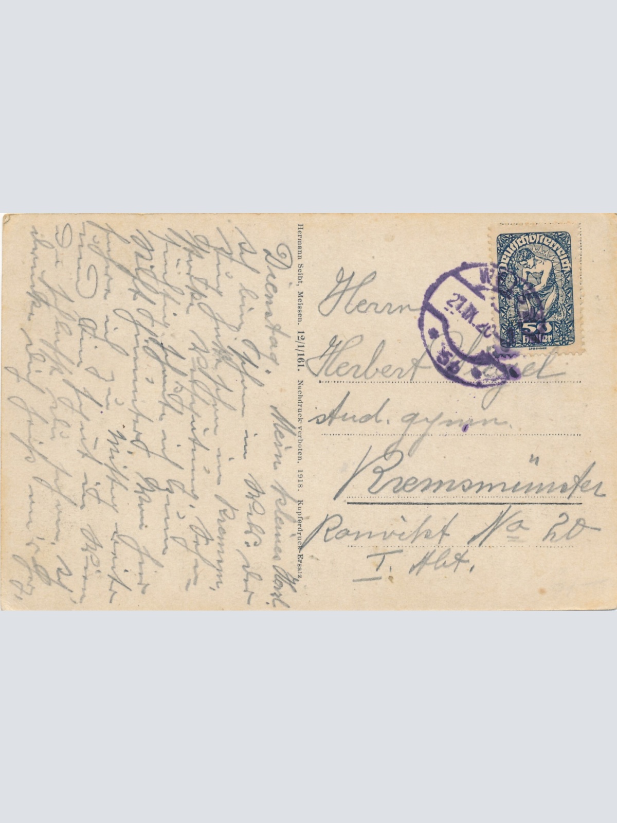 AK aus Wels vom Reinberg aus gesehen Oberösterreich  (6369)