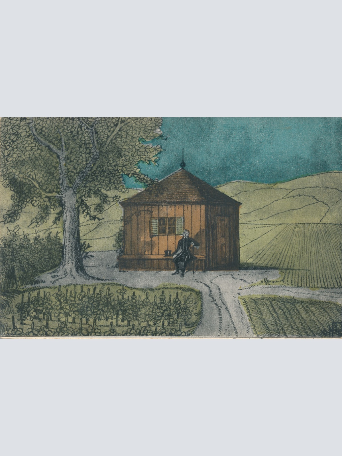 AK aus Aschach an der Donau Winzerhaus - Pfarrers Weinhüterl OÖ  (6345)