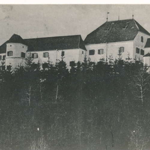 AK vom Kinderheim Schloss Neuhaus Post Geinberg Oberösterreich  (6347)