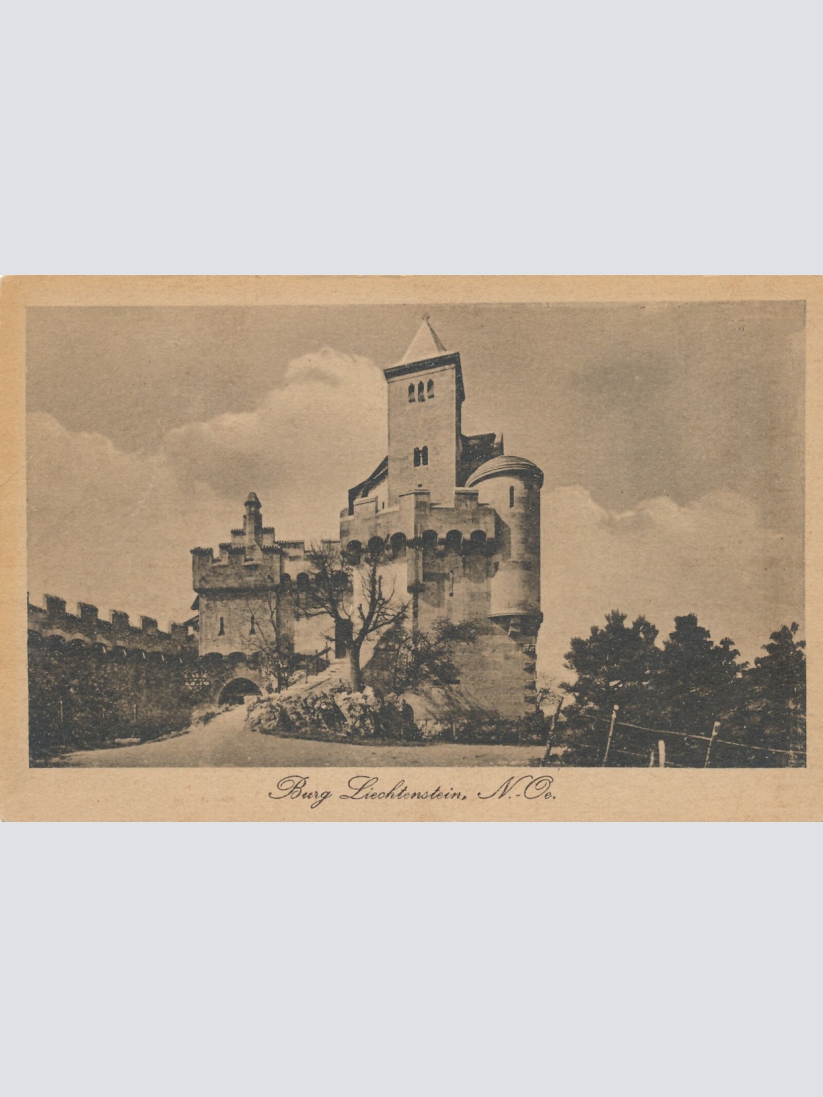 AK von der Burg Lichtenstein Niederösterreich (6873)